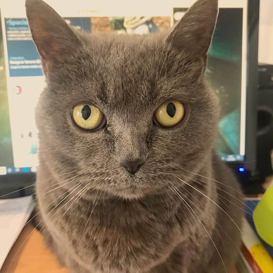 Nefele Sniff de Balbec